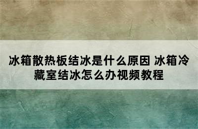 冰箱散热板结冰是什么原因 冰箱冷藏室结冰怎么办视频教程